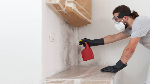 Professional Mold Removal technician working in Copiague, NY